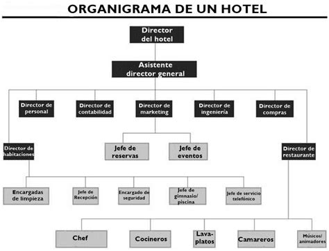 Organigrama de un hotel qué es y ejemplos