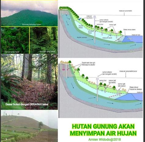 Ilustrasi Hutan Gunung Sebagai Kawasan Hutan Lindung Dan Daerah Resapan