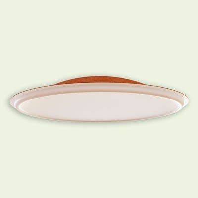 The fiberglass ceiling panels were removed and replaced with panels that do not jeopardize the air quality. Ceiling Domes CAD Drawings | Architectural Mall