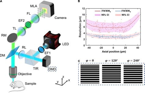 Background Inhibited And Speed Loss Free Volumetric Imaging In Vivo