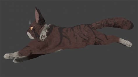 Tigerclaw Run Cycle 3d Warrior Cats Youtube