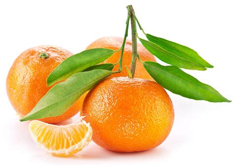 Hd Wallpaper Five Orange Fruits Oranges Tangerines Clementines