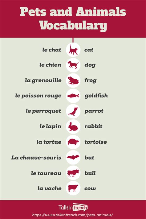 French Vocab: Pets And Animals - Talk in French | Basic ...