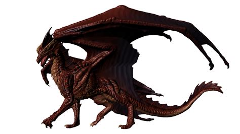 Download Realistic Dragon Picture Hq Png Image Freepngimg
