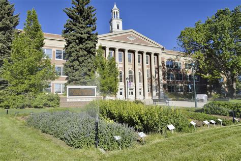 Seberapa Kompetitif Adakah Proses Kemasukan Universiti Negeri Colorado