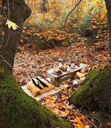 Pin By Autumn Jacunski On Doing It The Right Way Sweet And Romantic Fall Picnic Outdoor