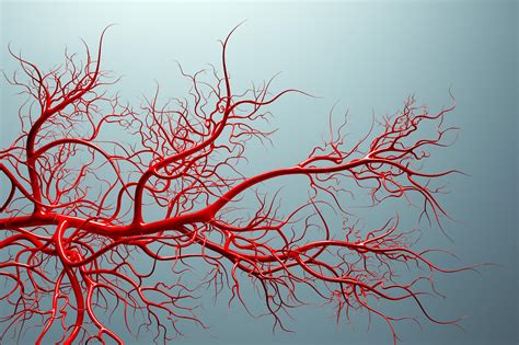 Cheaper And Safer A New Effective Treatment For Abnormal Blood Vessel
