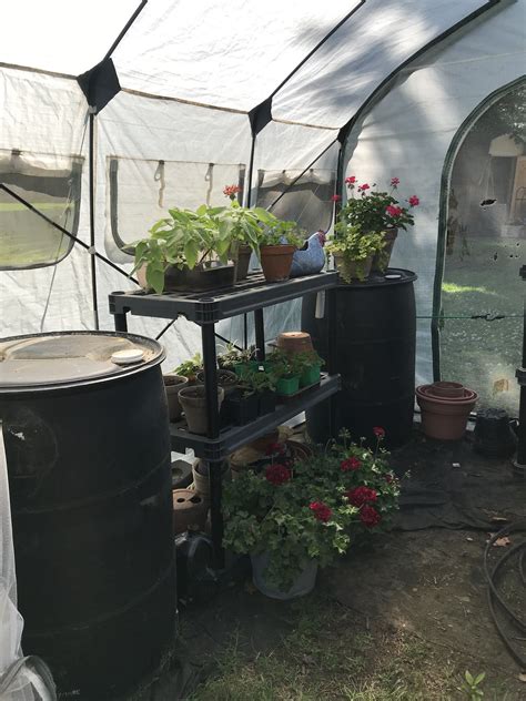 Thermal Mass Heat for greenhouse | Greenhouse, Thermal mass, Glass house