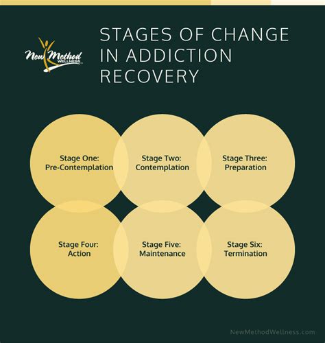 Stages Of Addiction Recovery New Method Wellness
