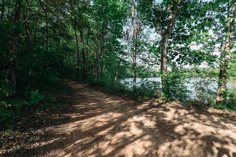 Lazy summer days on the water at lake wylie, thrilling roller coaster rides at carowinds, or hiking anne springs close greenway. Anne Springs Close Greenway | Charlottes Got A Lot