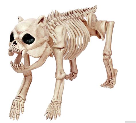 Three headed dog skeleton decor by world market. Halloween Skeleton Dog Promotion-Shop for Promotional ...