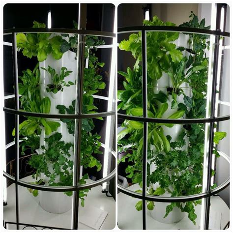 61 Best Tower Garden Vertical Aeroponic Growing System Making Gardening Easy Images On