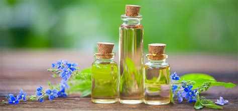 Aromaterapia: como mudar a energia da casa através de óleos essenciais ...