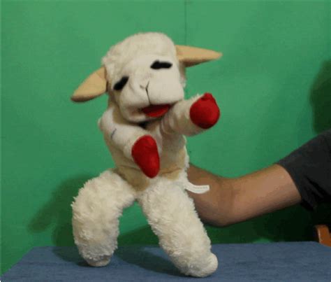 GIF Lambchop Doll Sheep Animated GIF On GIFER