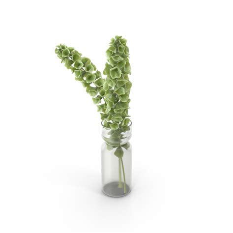 Get free transparent icons in ios, material, windows and other design styles for web, mobile, and graphic design projects. Decorative Plant PNG Images & PSDs for Download ...