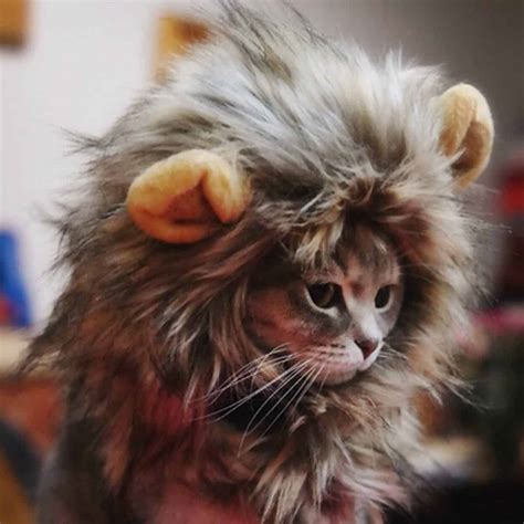 Help Your Kitty Discover Their Inner Big Cat With This Lion Mane Hat