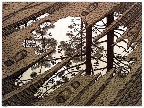 Puddle Mc Escher Encyclopedia Of Visual Arts