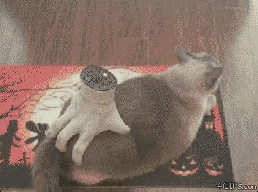 We supply a wide range of quality personalised gifts for all the family. For animated GIFs