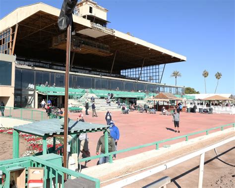 Vous avez décidé de vous lancer dans l'univers passionnant du turf. Latest News - Turf Paradise