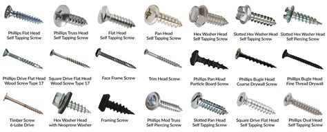 Check spelling or type a new query. products interstate screw types of wood screws best | Wood ...