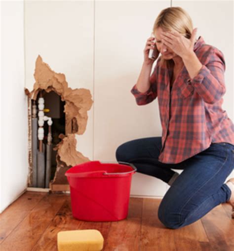 When you round off a number the rule is: 4 Good Reasons To Hire A Professional Plumbing Service ...