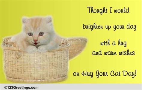 Brighten Up Your Day Free Hug Your Cat Day Ecards Greeting Cards