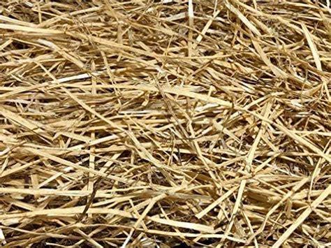 Aa Plus Shop 100 Natural Wheat Straw Grass Animal