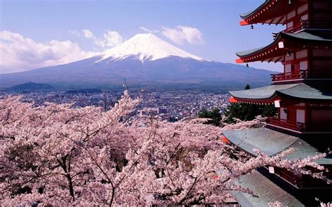 Wallpaper Id 155695 Japan Cherry Blossom Mount Fuji Volcano
