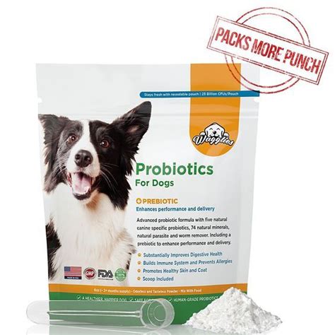 Best Probiotics For Dogs With Prebiotic Natural Odorless Powder Made
