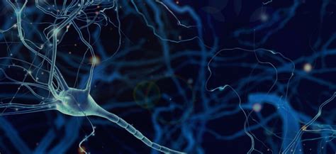 • biopsy not diagnostic of primary cns lymphoma modified as follows: Central Nervous System (CNS) - Ethypharm