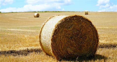 Hay Bales Need Moved From Rights Of Way By Nov 1st News Dakota
