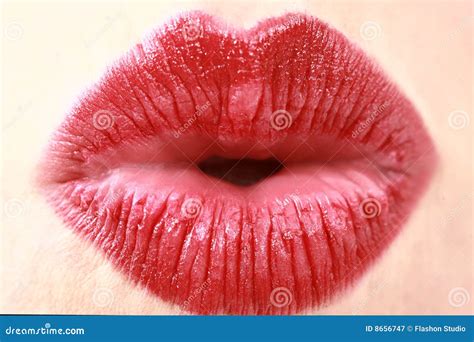 Female Hot Red Lips Macro Stock Image Image Of Makeup 8656747