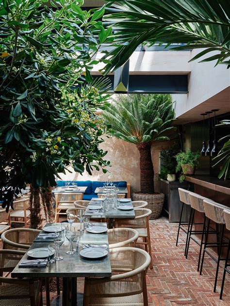 金餐厅评论 - 前河咖啡馆厨师西奥山的新开口|房屋和花园 - 188BET金博宝下载