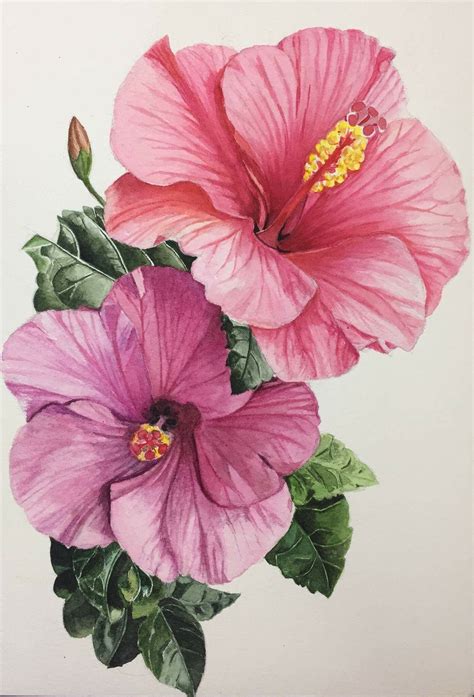 Pin By Maddy Meh On Flowers Flower Art Flower Drawing Watercolor