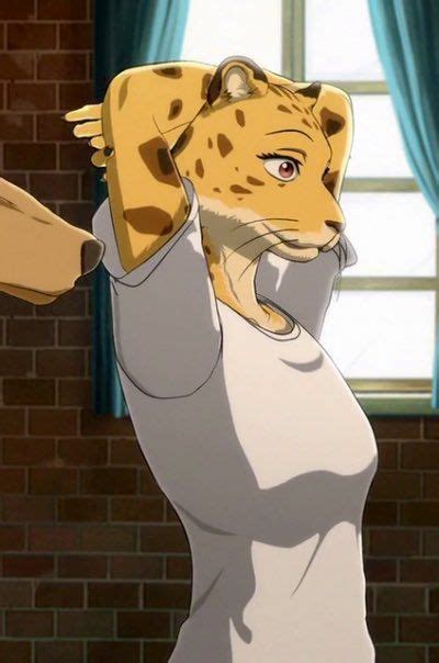Shiira Cheetah Beastars In 2021 Character Drawing Anime Character