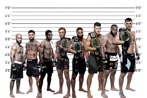 The Height Of Ufc Champions To Scale Male And Female The Tallest Ufc
