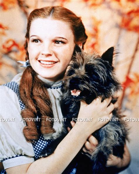 The Wizard Of Oz Dorothy Toto Photo Picture Judy Garland Color Etsy