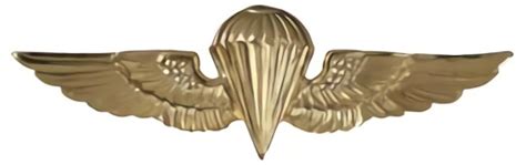 Navyunited States Marine Corps Parachutist Military Insignia In