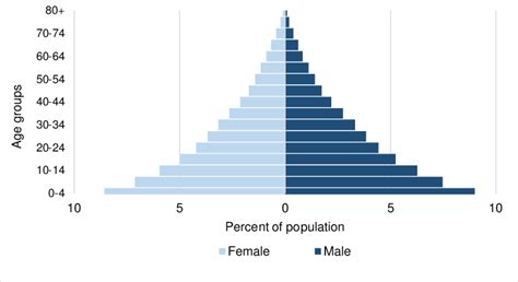 32 What Is An Age Structure Diagram Wiring Diagram Database