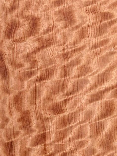 Bubinga Wood Veneer Dooge Veneers