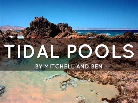 Tidal Pools By Ben Seed