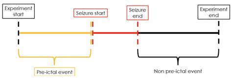 Predicting Epileptic Seizure Onsets With Heart Rate Variability Hrv