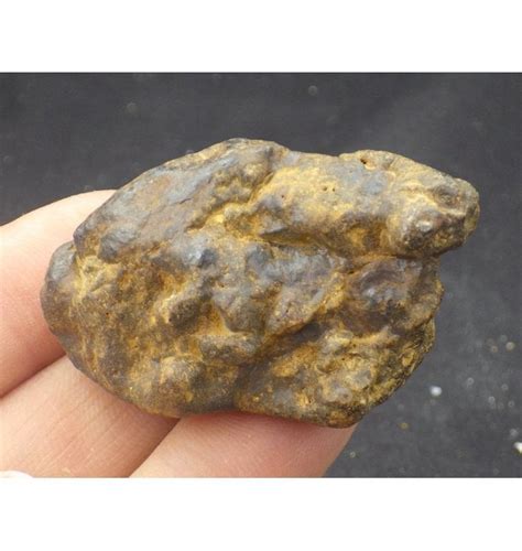 Fossils 41 G Nantan Iron Meteorite