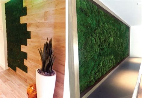 Moss Wall Design Gives Plantscapers Another Award Plantscapers