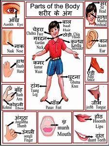 Body Parts Chart शर र क अ ग