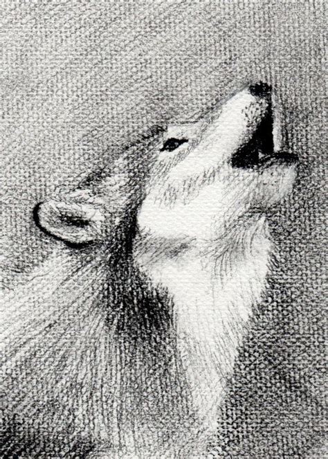 Download 89,049 animal texture drawing stock illustrations, vectors & clipart for free or amazingly low rates! Wild Wolf Charcoal Drawing on Textured by YasmineRoblesDesigns, $16.00 | Drawings, Animal ...