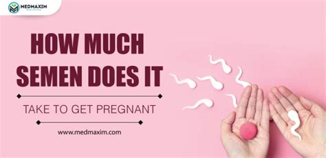 How Much Semen Does It Take To Get Pregnant Medmaxim