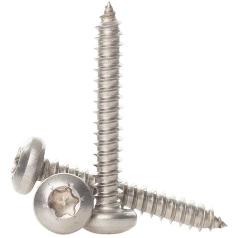 A Stainless Steel Torx Pan Head Self Tapping Screws