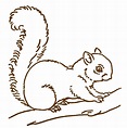Free Line Art Images - Squirrel Drawings - The Graphics Fairy