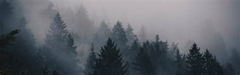 Dark Aesthetic Desktop Wallpapers - Wallpaper Cave